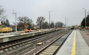 Modernizacja linii kolejowej na odcinku Ozorków – Łęczyca na półmetku [zdjęcia]