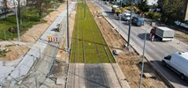 Poznań: Sieć trakcyjna i zielone torowisko tramwaju na Naramowice