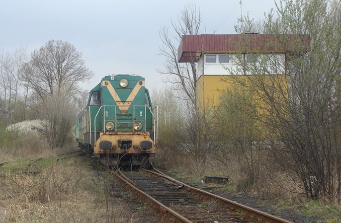 Jak pogodzić drogę Racibórz - Pszczyna z linią Racibórz – Olza? 