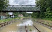 Katastrofalne powodzie w Niemczech. Już ponad 100 ofiar