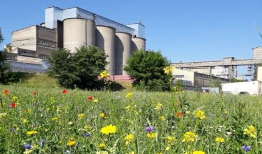 CEMEX Polska opublikował Deklarację Środowiskową za 2020 rok CEMEX Polska opublikował Deklarację Środowiskową za 2020 rok