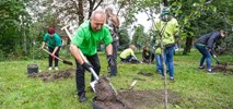 Wolontariat Cemex dla domu dziecka 