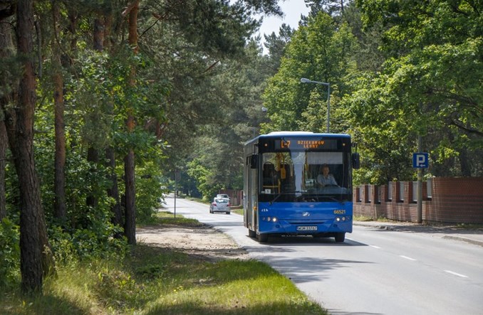 Są oferty w dużym przetargu ZTM Warszawa na dowozowe "eLki"