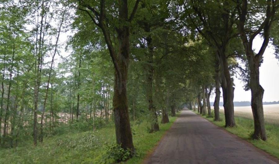 Drugie podejście ZDW Olsztyn na zaprojektowanie trasy z Nowego Miasta Lubawskiego do Uzdowa Drugie podejście ZDW Olsztyn na zaprojektowanie trasy z Nowego Miasta Lubawskiego do Uzdowa
