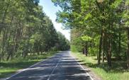 Dziewięciu chętnych do budowy S10 Emilianowo – Solec