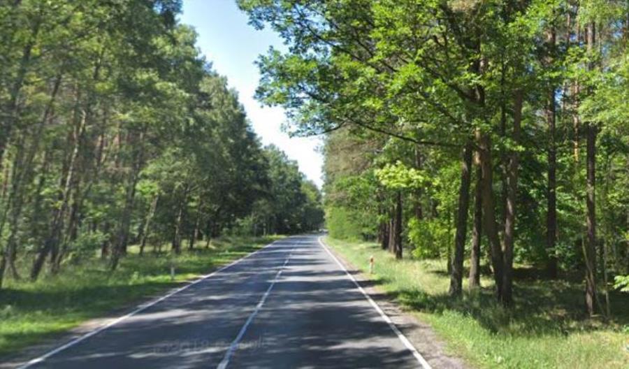 Dziewięciu chętnych do budowy S10 Emilianowo – Solec Dziewięciu chętnych do budowy S10 Emilianowo – Solec