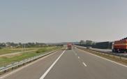 Małopolskie: chcą posadzić drzewa wzdłuż A4. Przetarg się komplikuje 