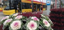 Wracają limity w komunikacji publicznej. Testy dla podróżnych przylatujących spoza Schengen