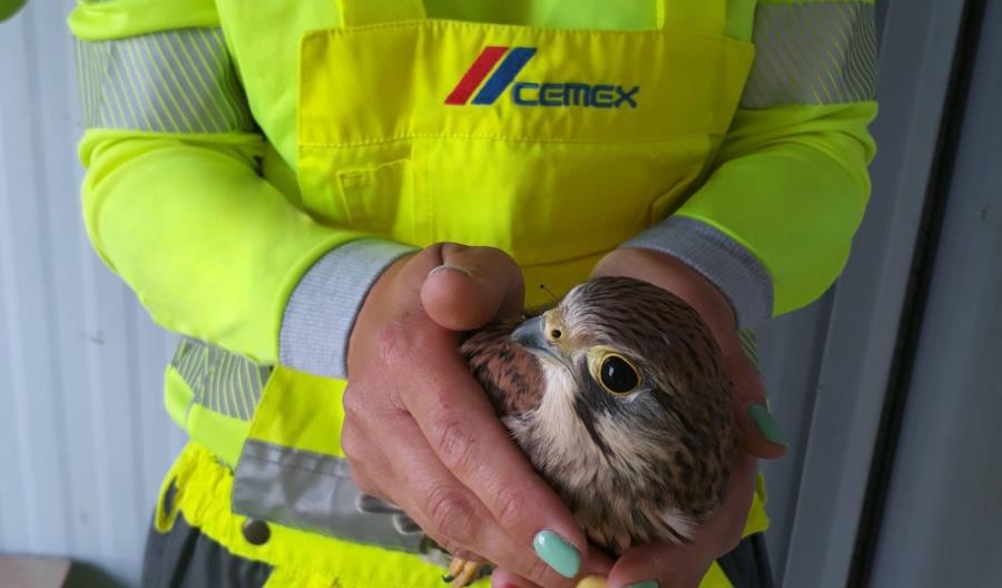 40 pustułek opuściło cementownie CEMEX w 2021 roku 40 pustułek opuściło cementownie CEMEX w 2021 roku