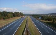 Polska nie zwiększy kontyngentu zezwoleń dla Ukrainy, choć ta wnioskowała o zmiany 