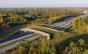 GDDKiA: Kwestie środowiskowe piętą achillesową inwestycji infrastrukturalnych