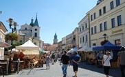 NIK. Miasta nie egzekwują kar za nielegalne zajmowanie pasa drogowego 