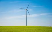PGE chce kupić kolejne farmy wiatrowe 