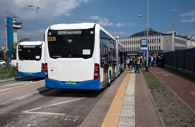 ZKM Gdynia szuka przewoźnika na nagłe zdarzenia, święta i koncerty