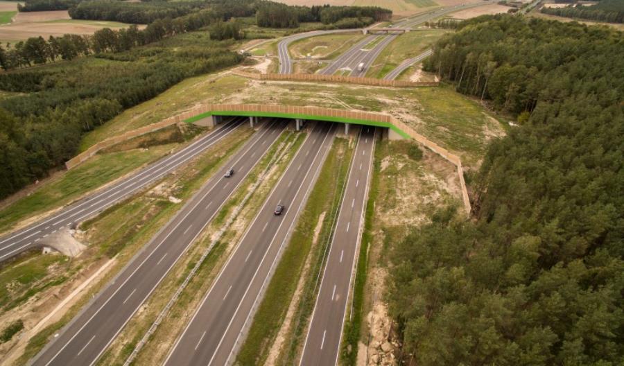 GDDKiA wydaje miliardy na przejścia dla zwierząt GDDKiA wydaje miliardy na przejścia dla zwierząt