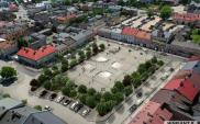 Skierniewice ponownie zazielenią rynek