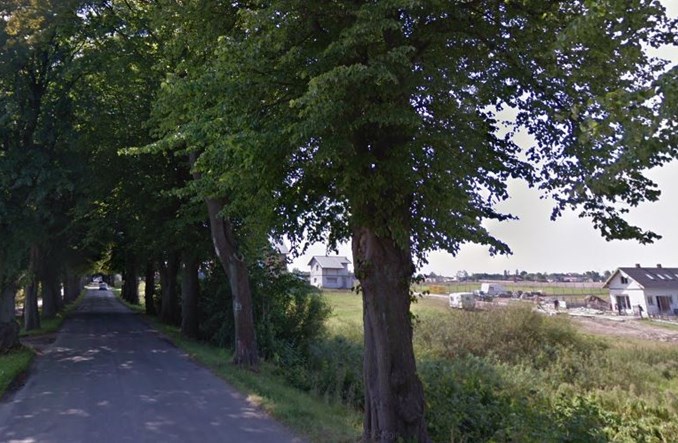 Ustronie Morskie. Ponad 100 lip może trafić pod topór