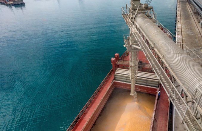 Udało się wywieźć 10 mln ton zbóż z Ukrainy. Którędy? To tajne