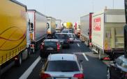 Czy paliwo po 10 zł za litr zabije polski transport drogowy?