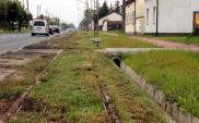 Konstantynów Łódzki: Modernizacja linii tramwajowej ruszyła z lekkim opóźnieniem 