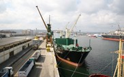 OT Port Gdynia: Duże zmiany struktury ładunków
