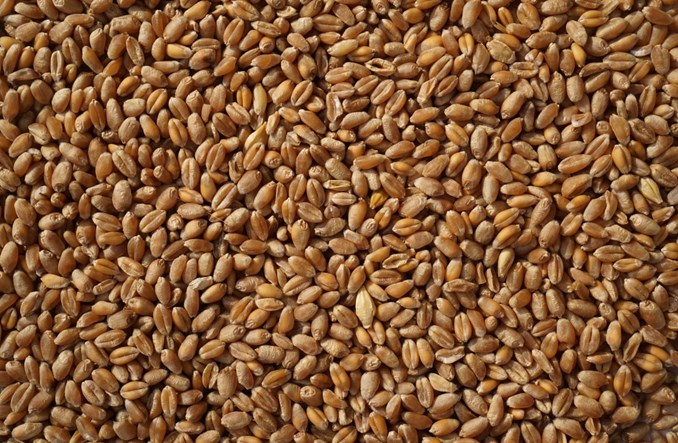 Porozumienie w sprawie transportu zboża z Ukrainy przedłużone 