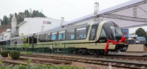 Zębaty pociąg do rezerwatu pandy