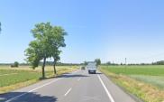 S11 Kórnik – Jarocin czeka na decyzję środowiskową 