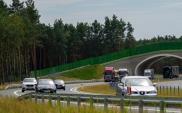 S7. Napierki – Płońsk ze stałą organizacją ruchu