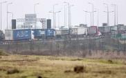 Gdańsk. Ciężarówki czekające na załadunek węgla nie będą blokować dróg  