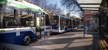 Kraków z dużym przetargiem na przewozy autobusowe