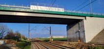 Wielkopolska. W Plewiskach bezpiecznie przejedziemy przez tory  