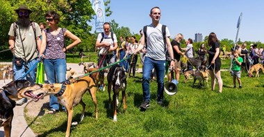 Wiosenny Dzień Charta zorganizowany przez pracownika Cemex