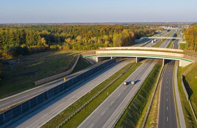 Obwodnica Aglomeracji Warszawskiej będzie dewastacją przyrody? Odpowiedź ministerstwa