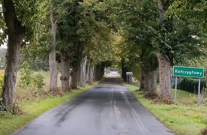 Pomorze: Protest przeciwko wycince 800 drzew na drodze powiatowej