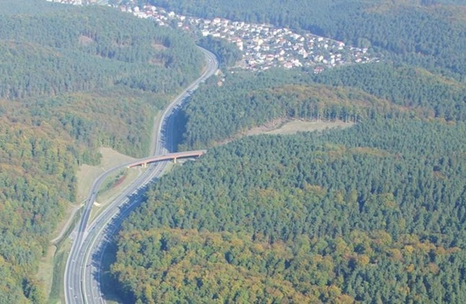 Jakie warianty Drogi Czerwonej w Gdyni? Projektanci pokażą efekty prac  