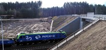 Rail Baltica: Można korzystać z wiaduktu nad torami w Łapach 