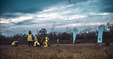 Cemex Polska. Jedno drzewo za jedną ankietę wypełnioną przez klienta