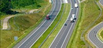 S19 Międzyrzec Podlaski-Radzyń Podlaski. Kierowcom grożą kolizje z łosiami? 