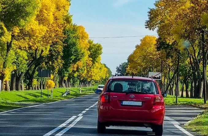 Trwają przygotowania do obwodnicy Słubic. 10 ofert w przetargu