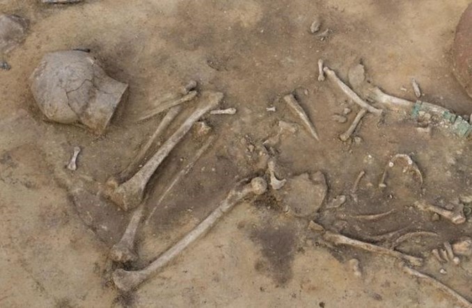 S7 Miechów-Szczepanowice. Wyjątkowe odkrycie archeologiczne 