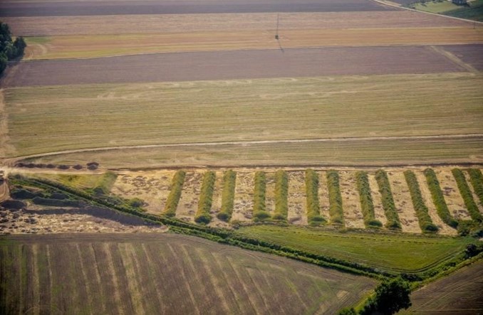 Dolny Śląsk: GDDKiA szuka wykonawcy badań archeologicznych