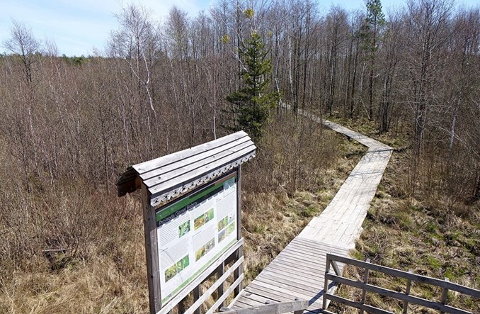 Plany drogowe na Podlasiu szkodzą Biebrzańskiemu Parku Narodowemu?