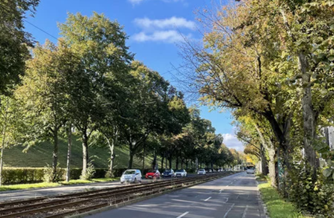 Niemcy testują sterowanie ruchem drogowym przez AI