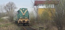 Linia 176: Będzie likwidacja? Na razie nie ma decyzji