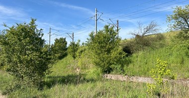 Poznań. Nie będzie przystanku kolejowego Naramowice Wschodnie/Rubież