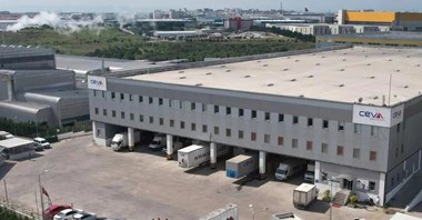 CEVA Logistics przejmuje Borusan Tedarik i rozszerza działalność w Turcji 