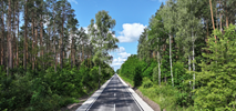 Wielkopolska. Ukończono remont DW181 [zdjęcia]