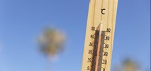 Polskie miasta szykują się na zmiany klimatu