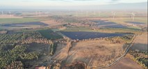 Polenergia uruchamia farmę Szpotawa. Ma już koncesję 